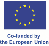 Co-funded by the European Union